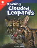 Felhőleopárdok nevelése - Raising Clouded Leopards