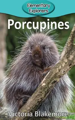 Süllő - Porcupines