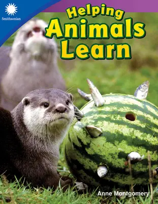 Segítünk az állatoknak tanulni - Helping Animals Learn