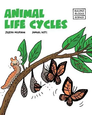 Állati életciklusok - Animal Life Cycles