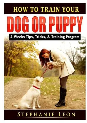 Hogyan neveljük kutyánkat vagy kiskutyánkat: 4 hetes tippek, trükkök és képzési program - How to Train Your Dog or Puppy: 4 Weeks Tips, Tricks, & Training Program