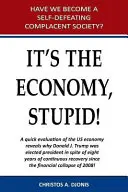 It's the Economy, Stupid