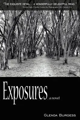 Exposures, egy regény - Exposures, a novel