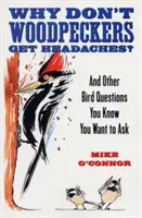 Miért nem fáj a harkályok feje?: És más madárkérdések, amiket tudod, hogy fel akarsz tenni - Why Don't Woodpeckers Get Headaches?: And Other Bird Questions You Know You Want to Ask