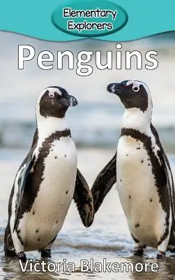 Pingvinek - Penguins