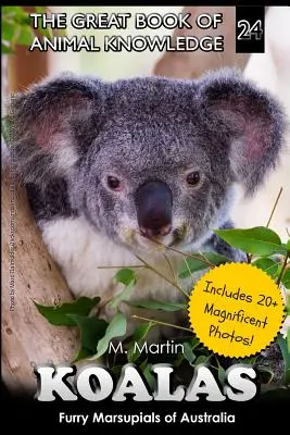 Koalák: Ausztrália szőrös erszényesei - Koalas: Furry Marsupials of Australia