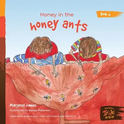 Méz a mézes hangyákban - Honey in the honey ants