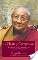 Az együttérzés szíve: A harminchét vers a bódhiszattva gyakorlatáról - The Heart of Compassion: The Thirty-Seven Verses on the Practice of a Bodhisattva