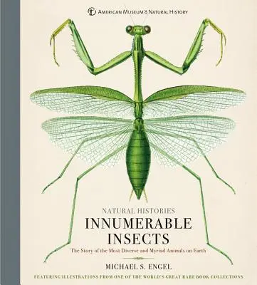 Számtalan rovar: A Föld legkülönfélébb és legszámtalanabb állatainak története - Innumerable Insects: The Story of the Most Diverse and Myriad Animals on Earth