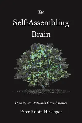 Az önmagát összerakó agy: Hogyan válnak okosabbá a neurális hálózatok - The Self-Assembling Brain: How Neural Networks Grow Smarter