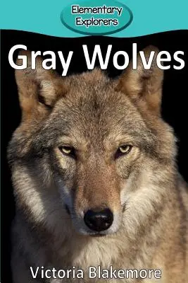 Szürke farkasok - Gray Wolves