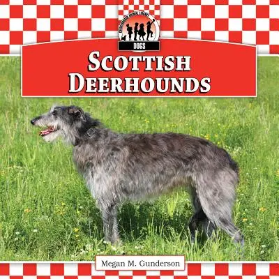 Scottish Deerhounds