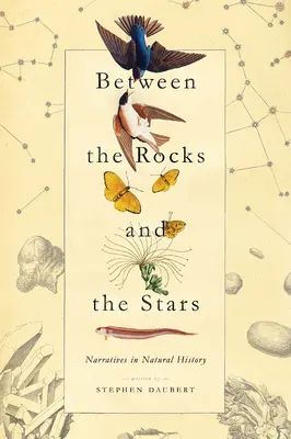 A sziklák és a csillagok között: Elbeszélések a természettudományban - Between the Rocks and the Stars: Narratives in Natural History