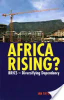 Afrika felemelkedése? Brics - diverzifikálódó függőség - Africa Rising?: Brics - Diversifying Dependency