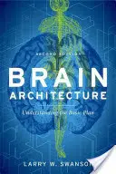 Agyszerkezet - Brain Architecture