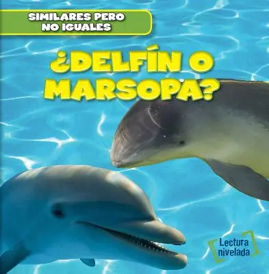 Delfin O Marsopa? (Delfin vagy disznódelfin?) - Delfin O Marsopa? (Dolphin or Porpoise?)