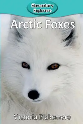Sarki rókák - Arctic Foxes
