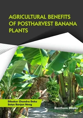 A betakarítás utáni banánnövények mezőgazdasági előnyei - Agricultural Benefits of Postharvest Banana Plants