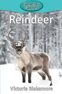 Rénszarvasok - Reindeer