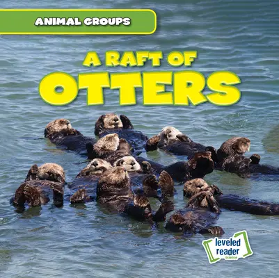 Vidra tutaj - A Raft of Otters