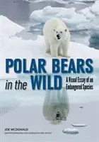 Jegesmedvék a vadonban: vizuális esszé egy veszélyeztetett fajról - Polar Bears in the Wild: A Visual Essay of an Endangered Species