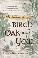 A nyírfa, a tölgy és a tiszafa bölcsessége: A fák mágiájával való kapcsolat az útmutatásért és átalakulásért - The Wisdom of Birch, Oak, and Yew: Connect to the Magic of Trees for Guidance & Transformation