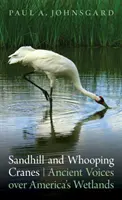 Sandhill and Whooping Cranes: Ősi hangok Amerika vizes élőhelyei felett - Sandhill and Whooping Cranes: Ancient Voices Over America's Wetlands