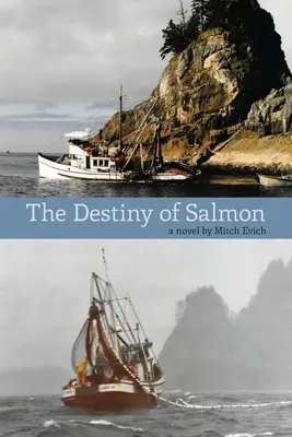 A lazac sorsa - The Destiny of Salmon