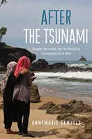 A cunami után: A katasztrófa-elbeszélések és a mindennapi élet újjáalakulása Acehben - After the Tsunami: Disaster Narratives and the Remaking of Everyday Life in Aceh