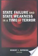 Államcsőd és állami gyengeség a terror idején - State Failure and State Weakness in a Time of Terror