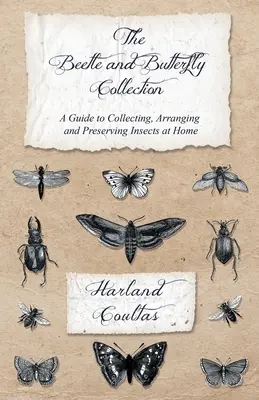 A bogár- és lepkegyűjtemény - Útmutató a rovarok otthoni gyűjtéséhez, elrendezéséhez és megőrzéséhez - The Beetle and Butterfly Collection - A Guide to Collecting, Arranging and Preserving Insects at Home