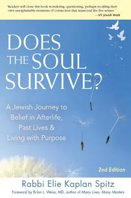 Túléli-e a lélek? (2. kiadás): Zsidó utazás a túlvilági hithez, az előző életekhez és a céllal való élethez - Does the Soul Survive? (2nd Edition): A Jewish Journey to Belief in Afterlife, Past Lives & Living with Purpose