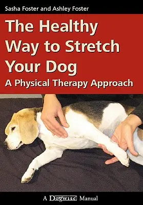 Az egészséges módja annak, hogy megnyújtsd a kutyádat: Fizikoterápiás megközelítés - The Healthy Way to Stretch Your Dog: A Physical Therapy Approach