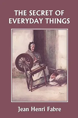 A mindennapi dolgok titka (Yesterday's Classics) - The Secret of Everyday Things (Yesterday's Classics)