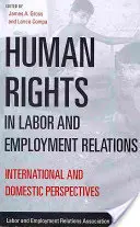 Emberi jogok a munkaügyi és foglalkoztatási kapcsolatokban: Nemzetközi és hazai perspektívák - Human Rights in Labor and Employment Relations: International and Domestic Perspectives