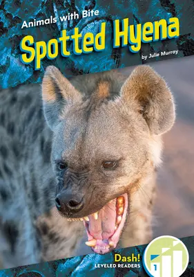 Foltos hiéna - Spotted Hyena