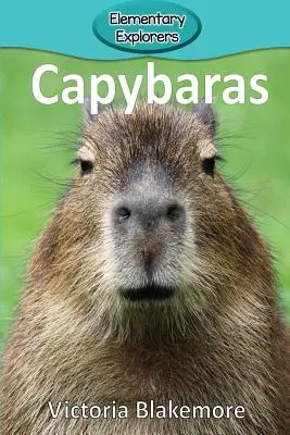 Vízidisznók - Capybaras