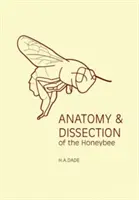 A méh anatómiája és boncolása - Anatomy and Dissection of the Honeybee