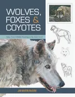 Farkasok, rókák és prérifarkasok (A vadon élő állatok festésének alapjai) - Wolves, Foxes & Coyotes (Wildlife Painting Basics)