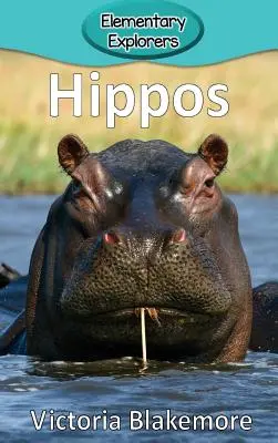 Vízilovak - Hippos