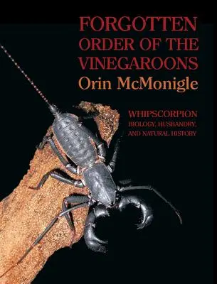 A vinegaronok elfeledett rendje: Ostoroskorpiók biológiája, tartása és természetrajza - Forgotten Order of the Vinegaroons: Whipscorpion Biology, Husbandry, and Natural History