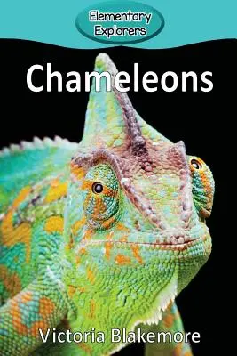Kaméleonok - Chameleons