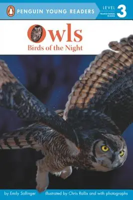 Baglyok: Az éjszaka madarai - Owls: Birds of the Night