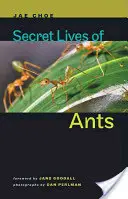 A hangyák titkos élete - Secret Lives of Ants