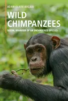 Wild Chimpanzees: Egy veszélyeztetett faj szociális viselkedése - Wild Chimpanzees: Social Behavior of an Endangered Species