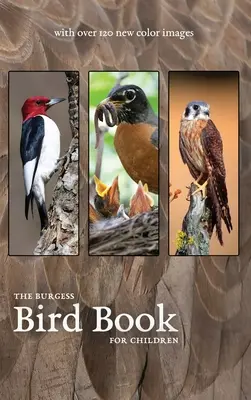 A Burgess Madárkönyv új színes képekkel - The Burgess Bird Book with new color images