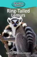 Gyűrűsfarkú makik - Ring-Tailed Lemurs