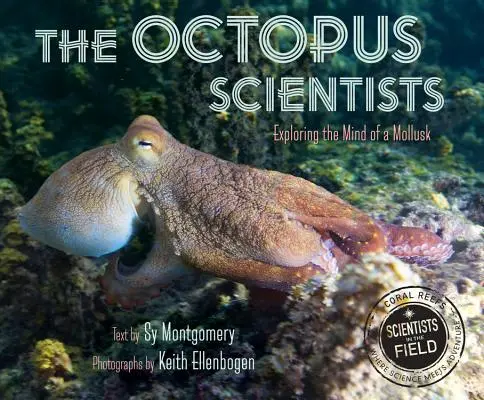 A polip tudósok - The Octopus Scientists