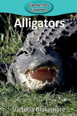 Alligátorok - Alligators