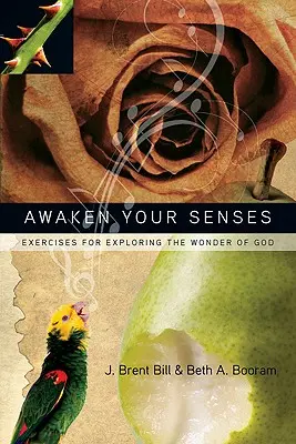 Ébreszd fel az érzékeidet: Gyakorlatok Isten csodájának felfedezéséhez - Awaken Your Senses: Exercises for Exploring the Wonder of God